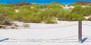 photos of the beach with sand and water in the background