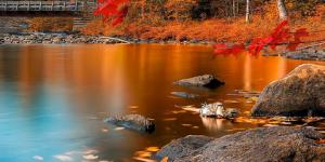 Straight From the Tap (Fall 2019)