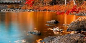 Straight From the Tap (Fall 2021)