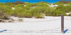 Straight from the Tap Newsletter (Summer 2024)