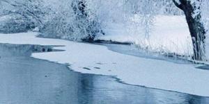 Straight From the Tap (Winter 2021)