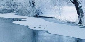 Straight From the Tap (Winter 2022)