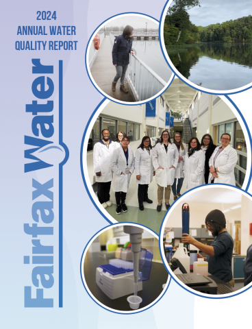 Annual Report on Water Quality 2024
