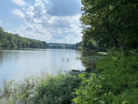A photo of the Occoquan Reservoir with trees and plants on the shoreline.