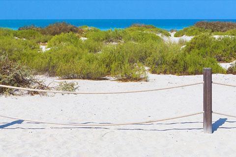 photos of the beach with sand and water in the background