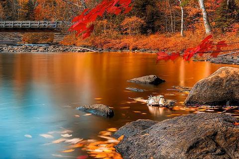 A photo of a stream and trees with autumn leaves